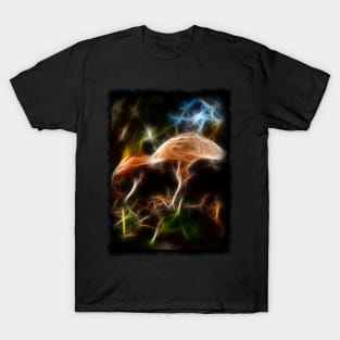 Shrooms T-Shirt